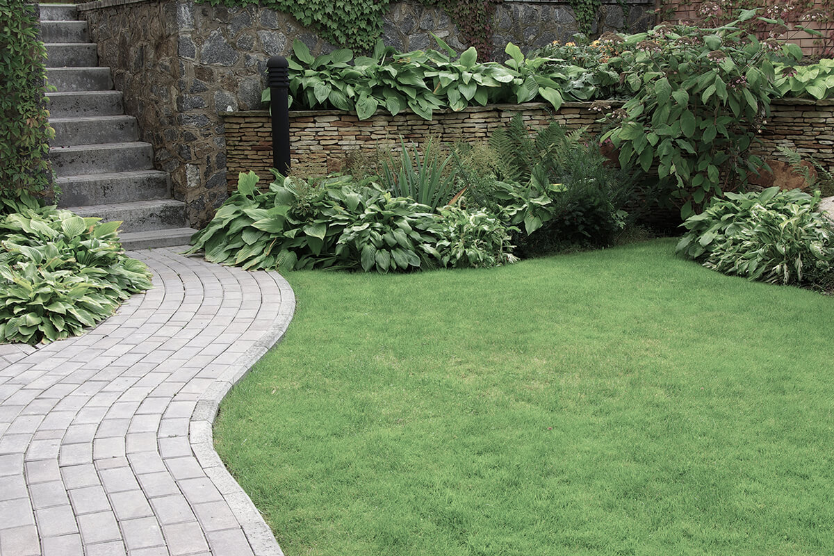 Welcome to New Stone Landscaping